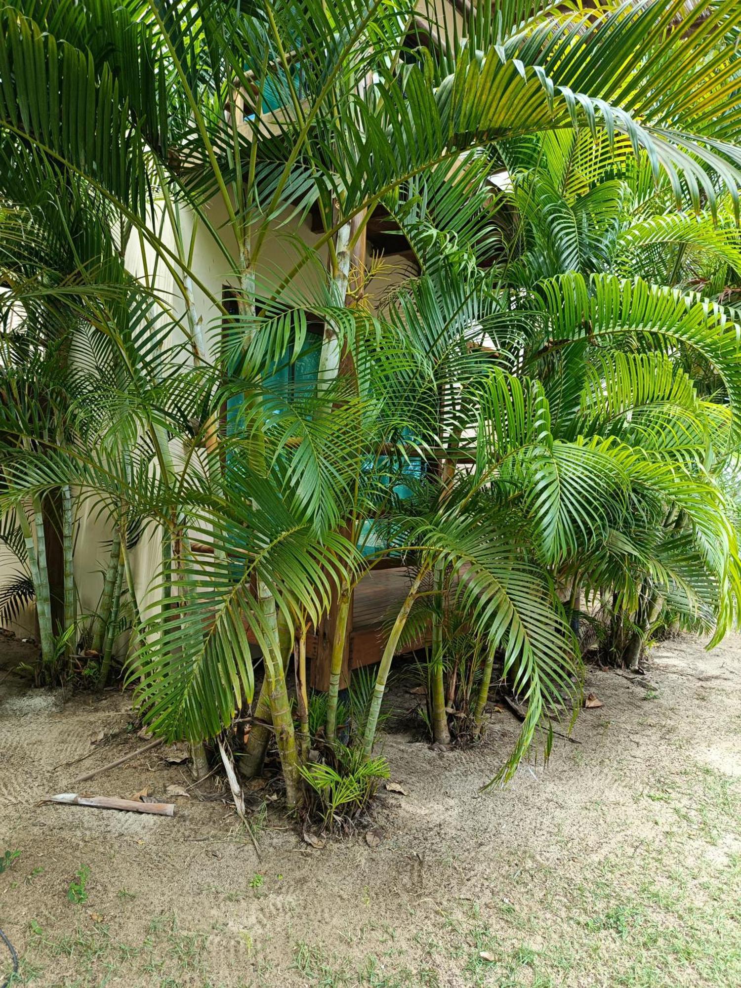 Pousada Maré Cumuruxatiba Exterior foto